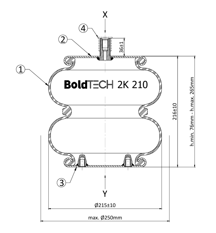 Molas Bold Tech