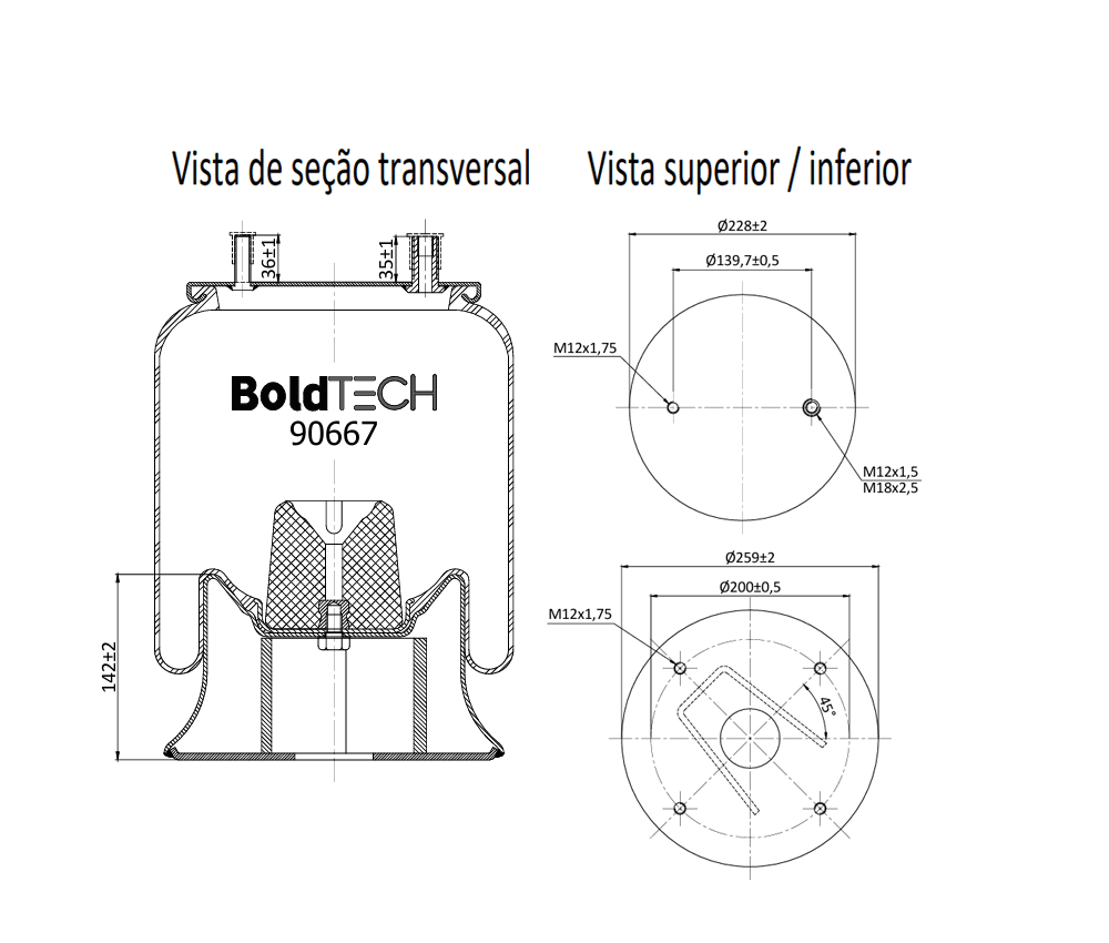 Molas Bold Tech