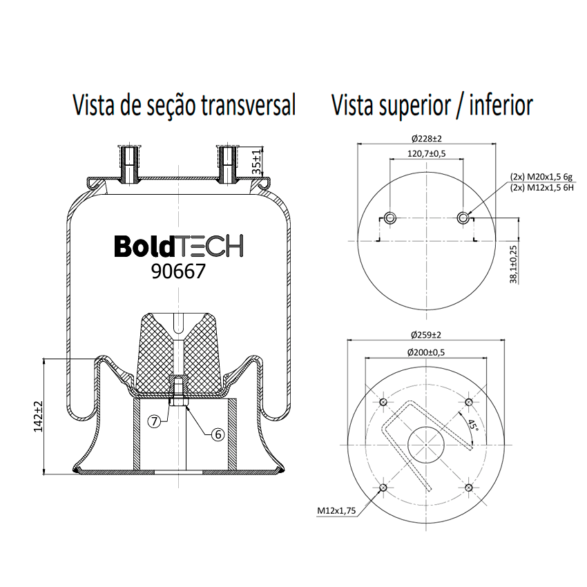 Molas Bold Tech