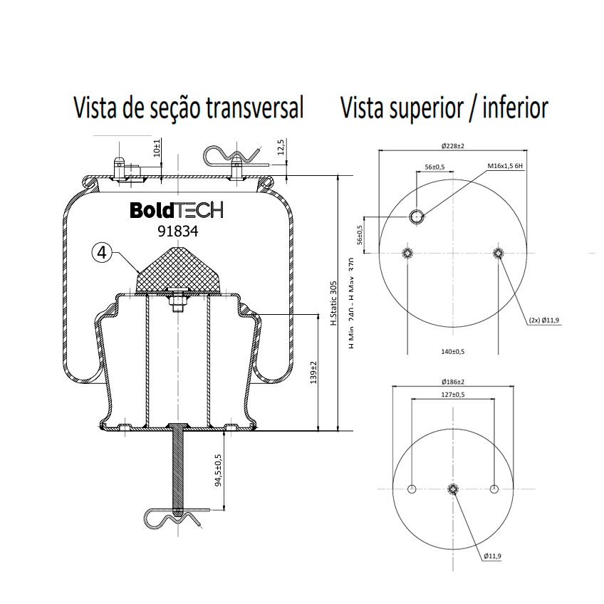 Molas Bold Tech
