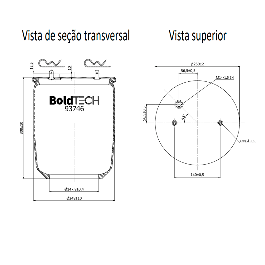 Molas Bold Tech