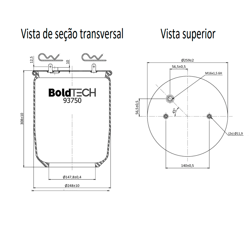 Molas Bold Tech