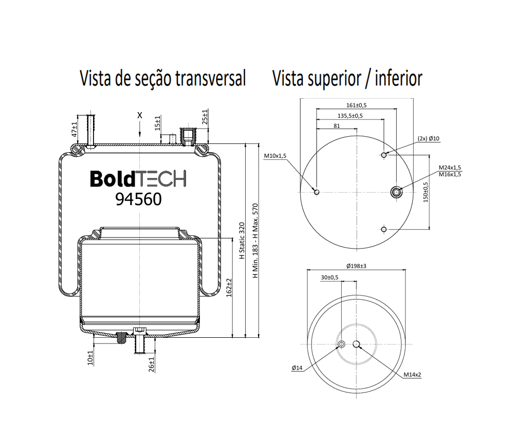 Molas Bold Tech
