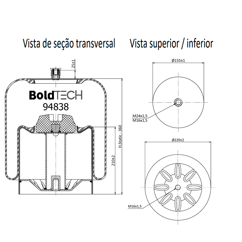Molas Bold Tech