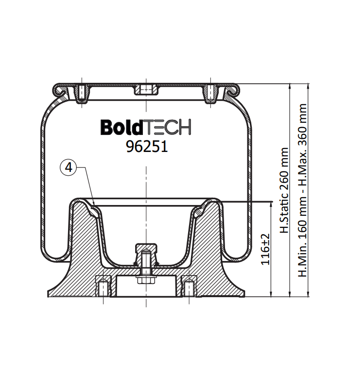Molas Bold Tech