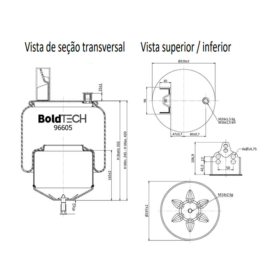 Molas Bold Tech