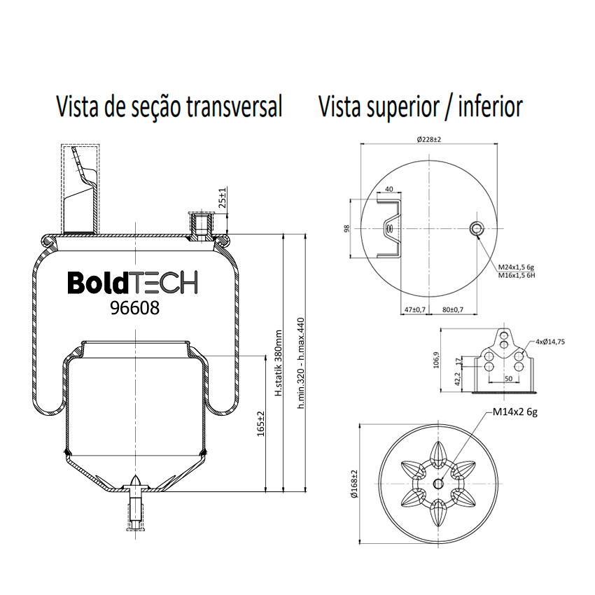 Molas Bold Tech