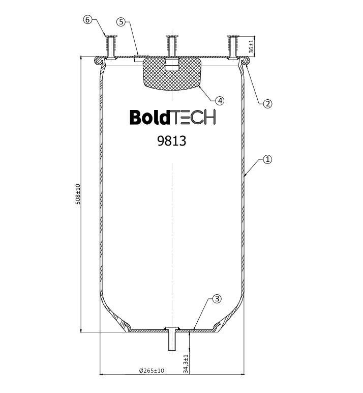 Molas BoldTech