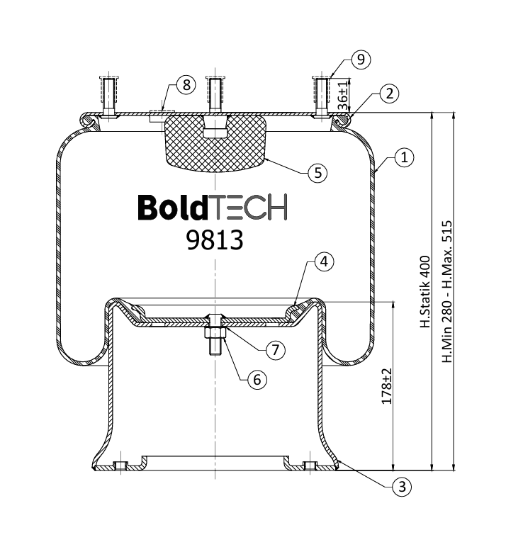 Molas Bold Tech