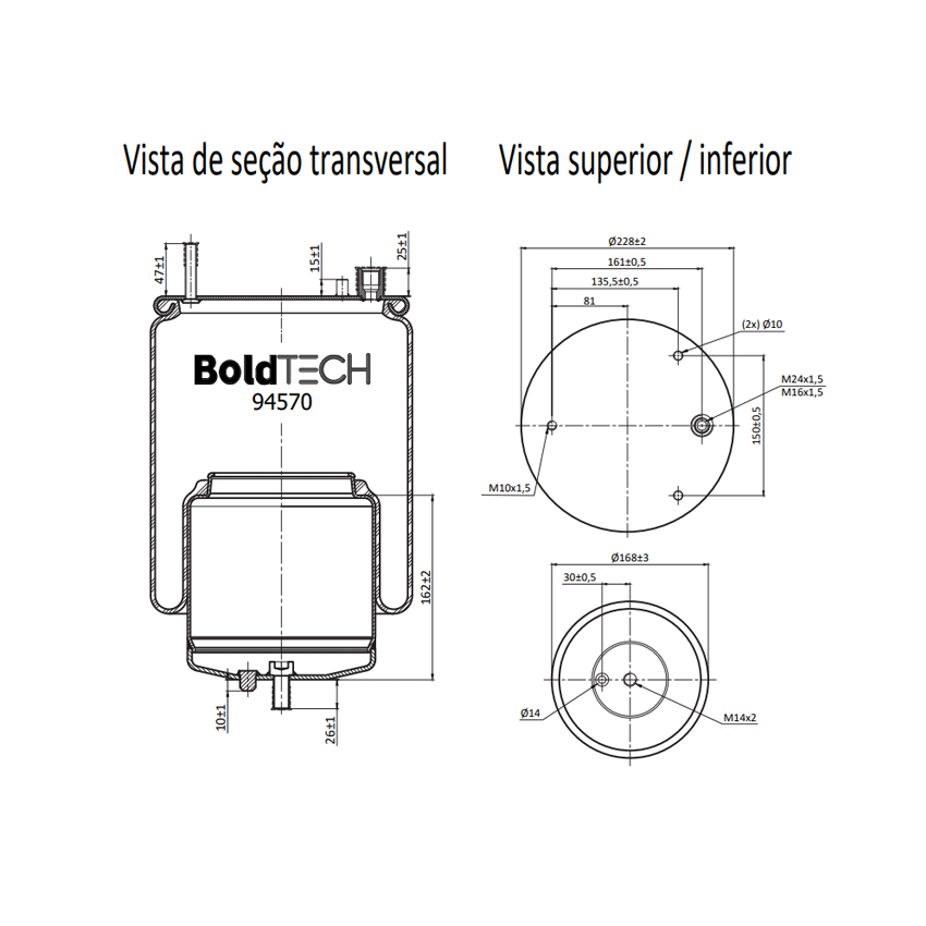 Molas Bold Tech