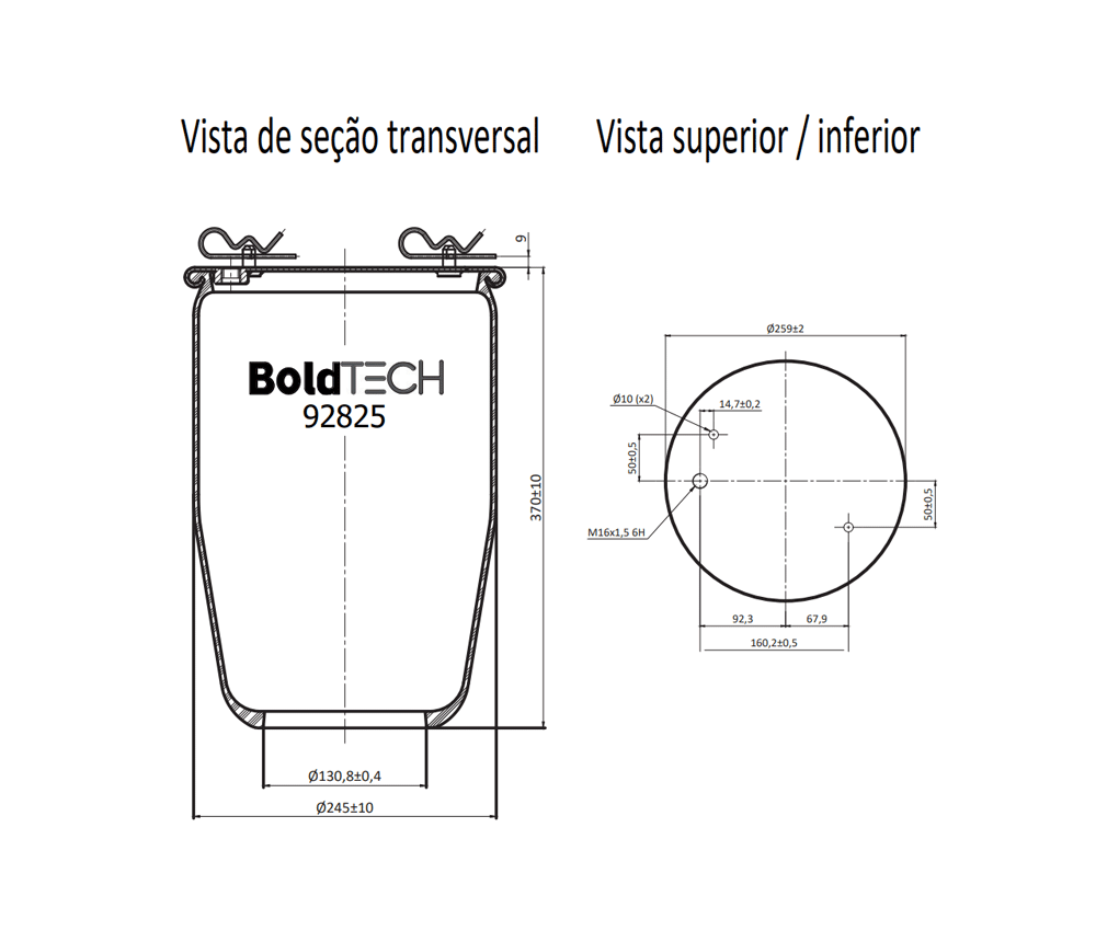 Molas Bold Tech