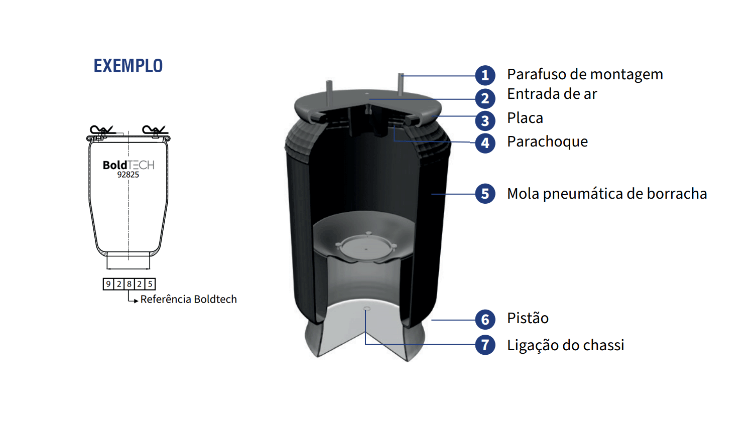 BoldTECH Brasil
